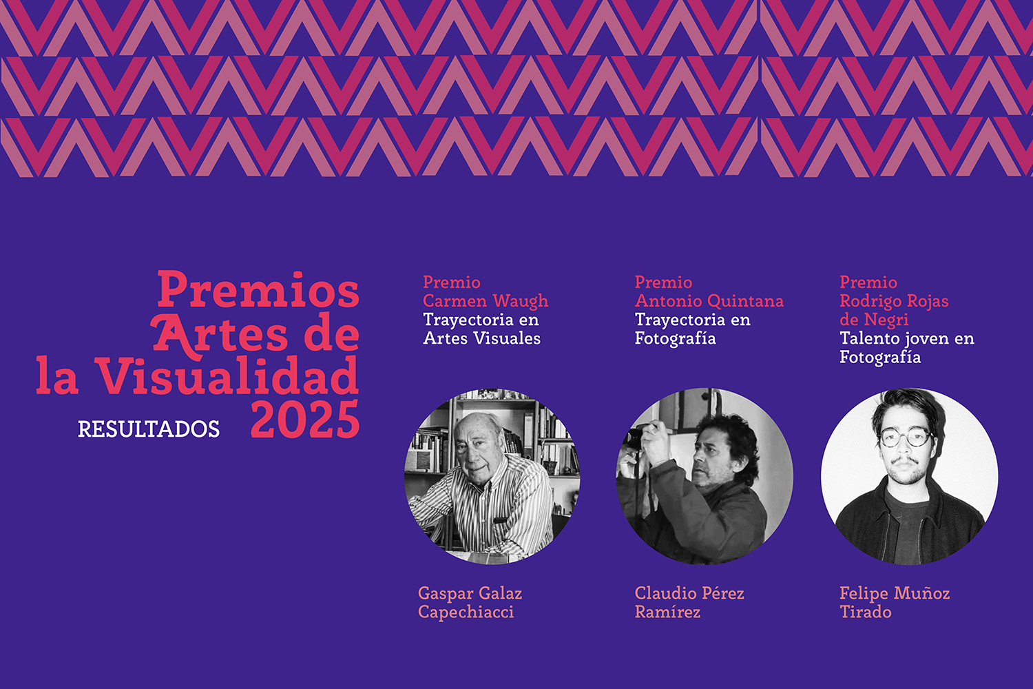 Resultados Premios Artes de la Visualidad 2025