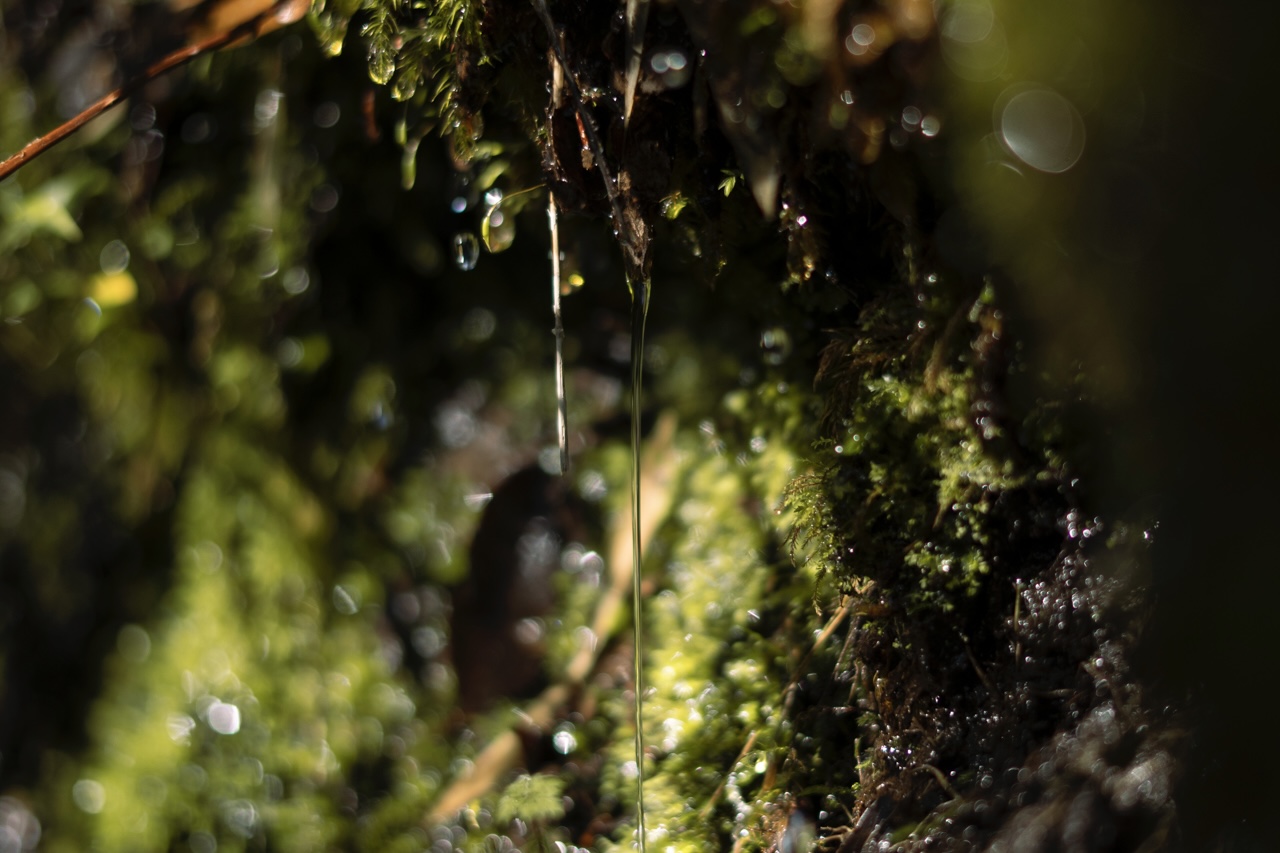 Seremi de las Culturas abre programa público que invita a explorar el territorio a través de las artes de la visualidad