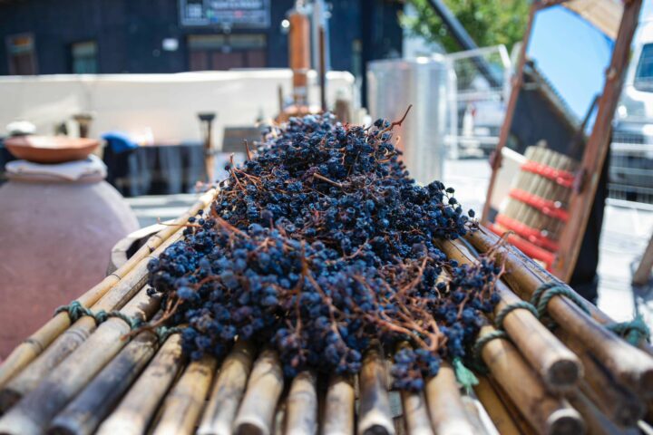 San Javier de Loncomilla es declarada Ciudad Creativa