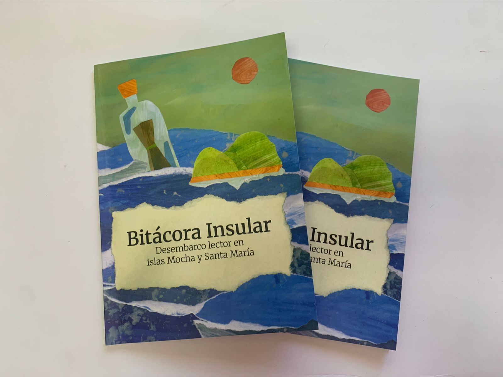 Bitácora Insular: Acciones de fomento lector con estudiantes de islas Mocha y Santa María culminan en inédita publicación
