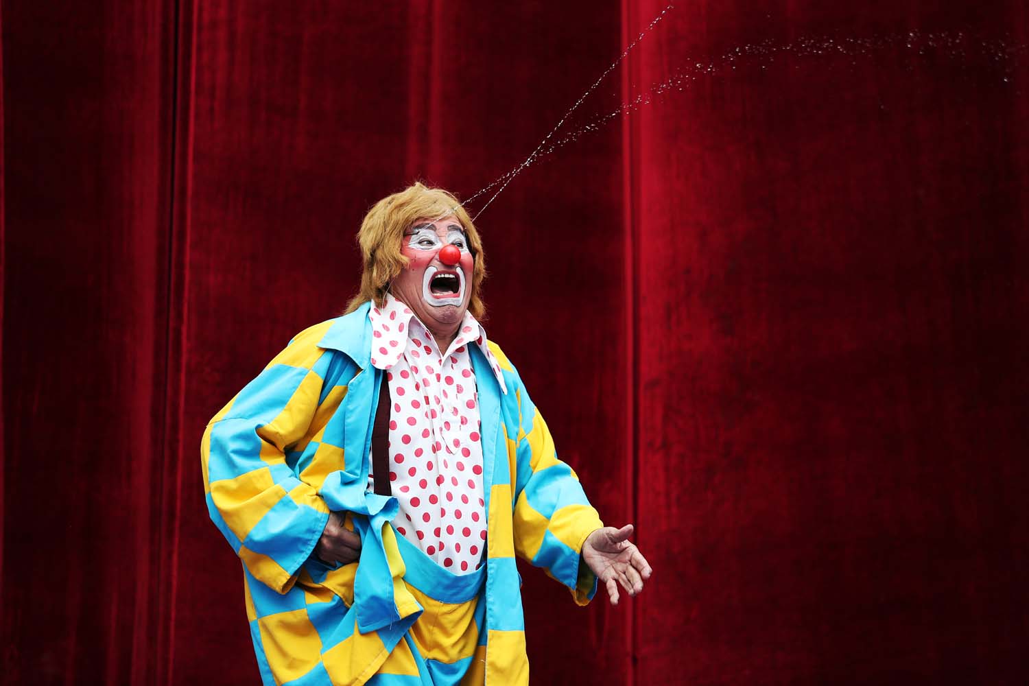 Circo Tradicional Chileno