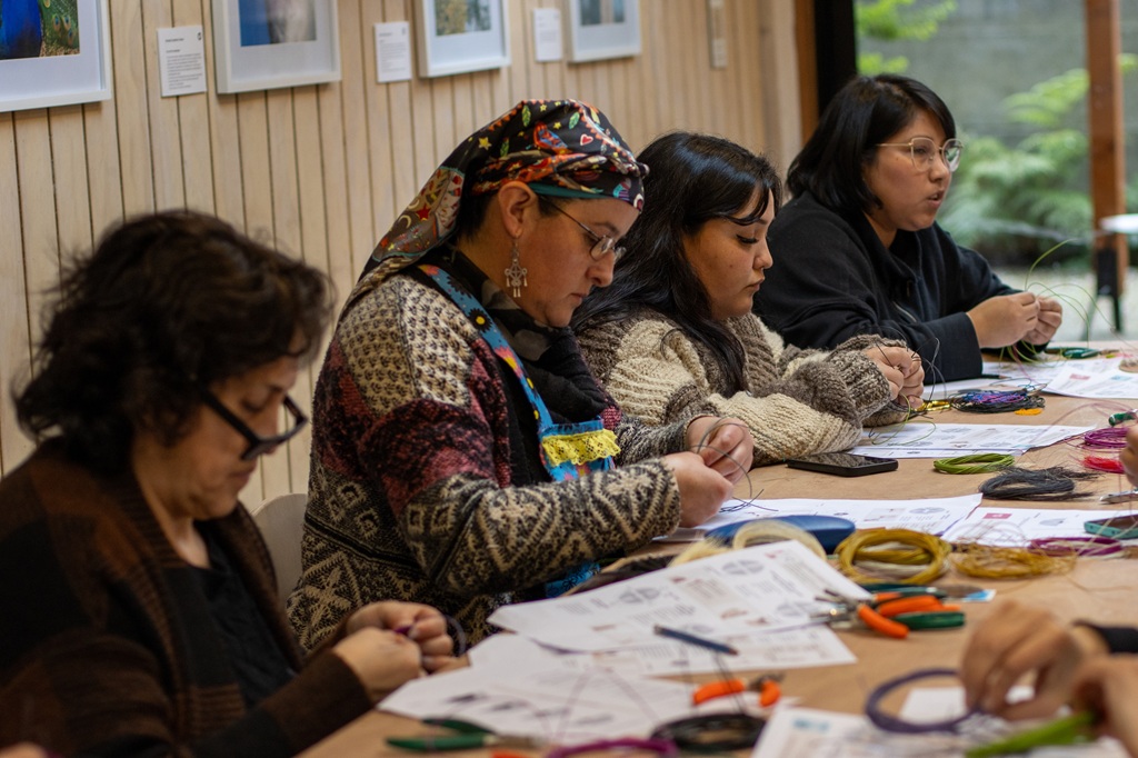 Con innovador taller de microcestería culminó curso dirigido a artesanas de Lago Ranco