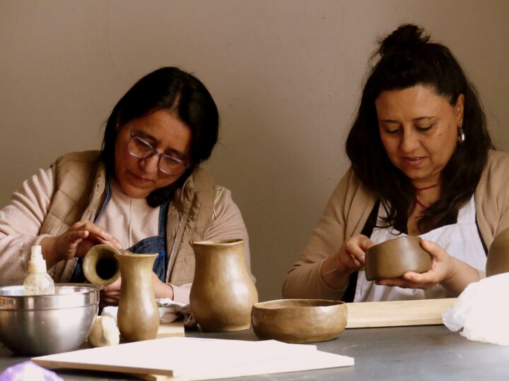Mujeres artesanas de La Araucanía participaron en encuentro formativo sobre Wizün mapuche