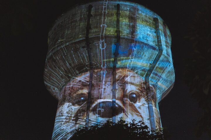 Copa de agua de Valdivia se vistió de luz y movimiento en cierre de programa de artes de la visualidad