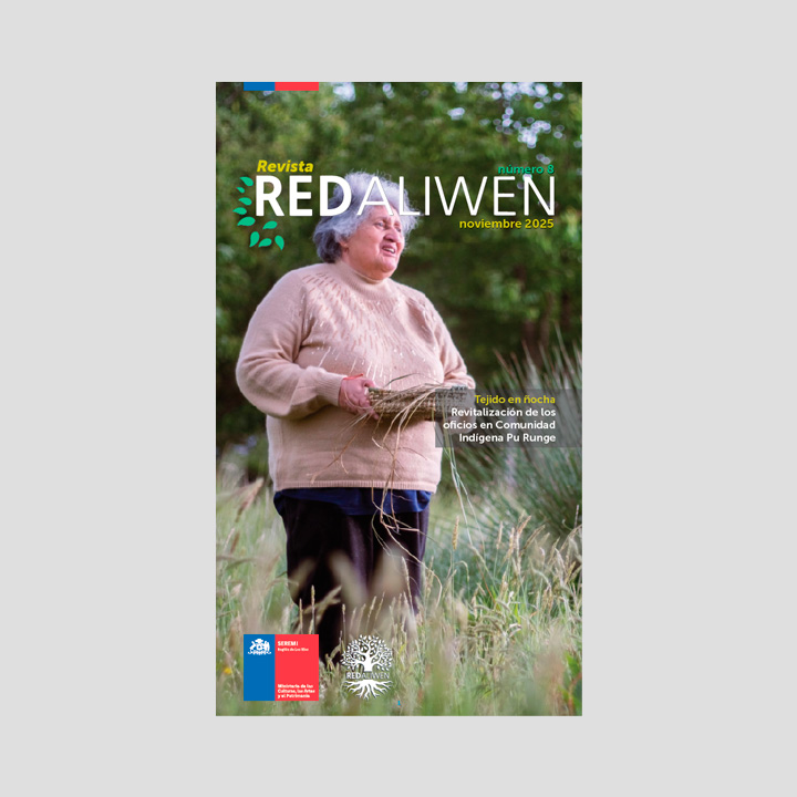 Revista Red Aliwen – Noviembre 2025