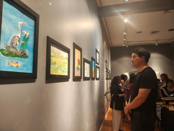 Personas mayores de Toltén inauguran muestra de acuarela