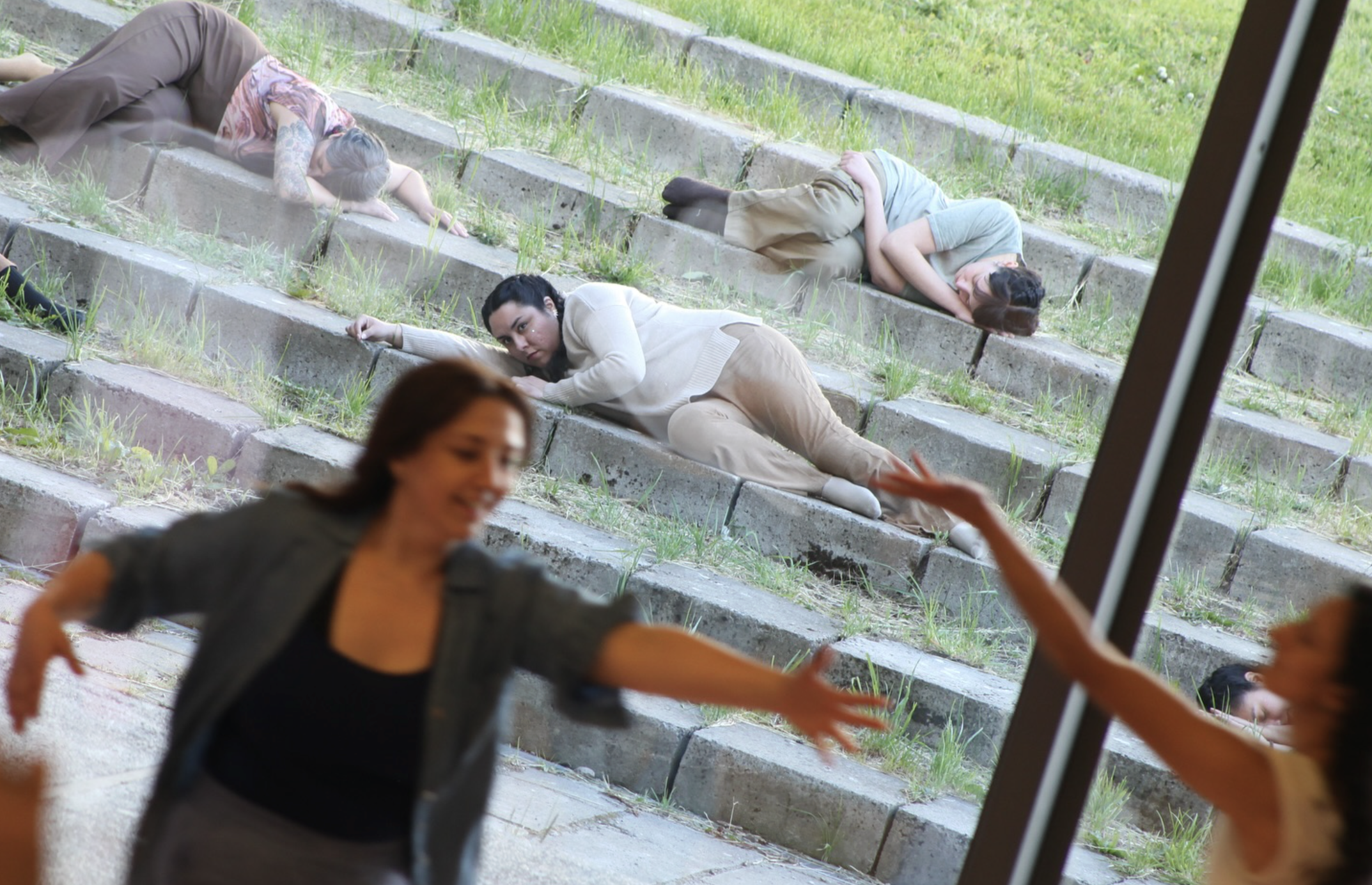 Dos organizaciones de Aysén se adjudican fondos PAOCC 2026