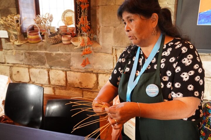 Actividades en 10 comunas y positiva evaluación dejó Día de los Patrimonios en Verano en Los Ríos