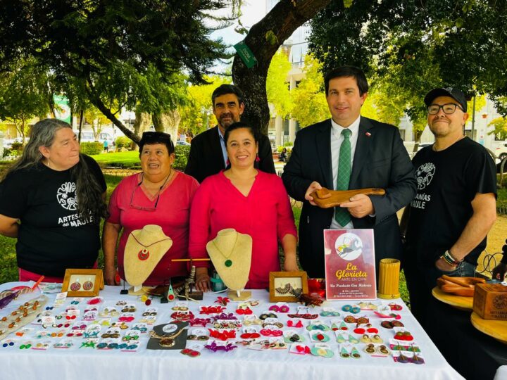 Artesanos del Maule celebran su día con intervención en la Plaza de Talca
