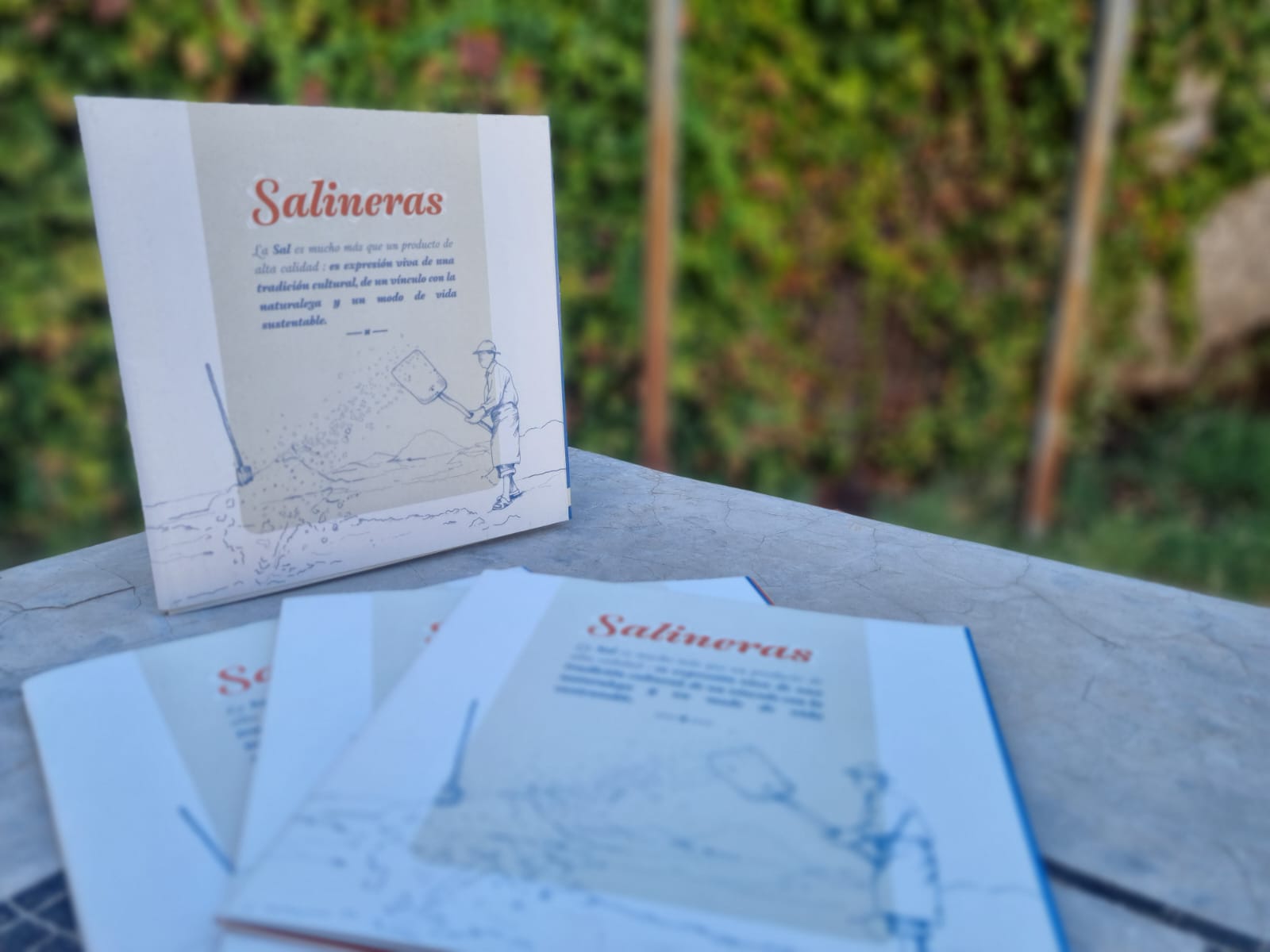 Culturas lanza cartografía para difundir la tradición salinera de Cáhuil y Lo Valdivia