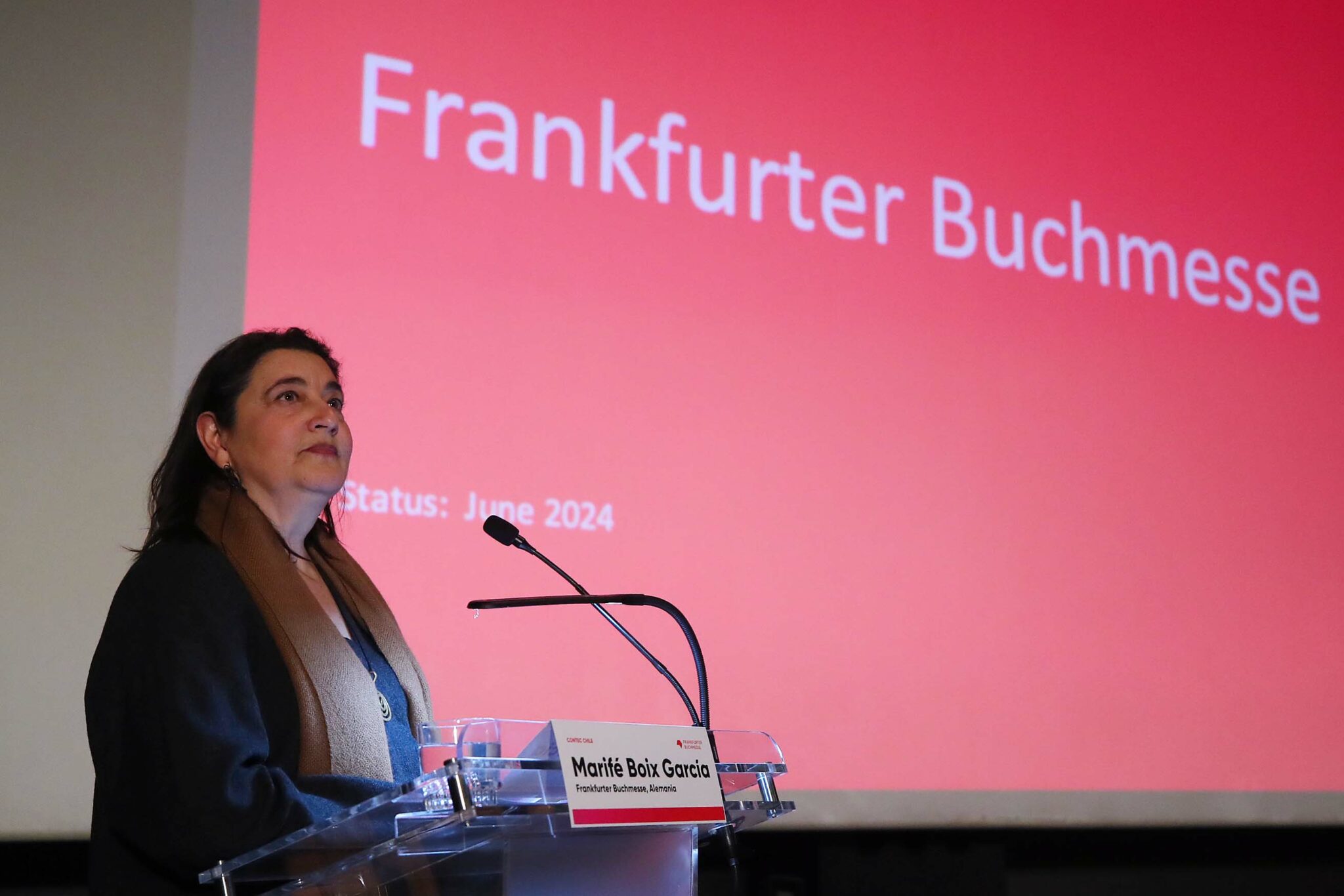 Ministerio de las Culturas realizará Encuentro Profesional Editorial en la próxima Furia del Libro de cara a Frankfurt 2027