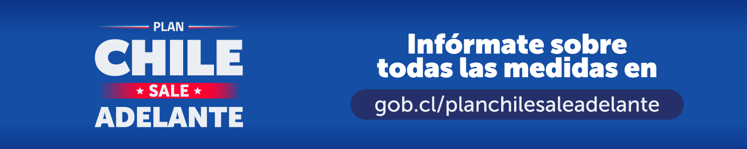 Plan Chile sale adelante