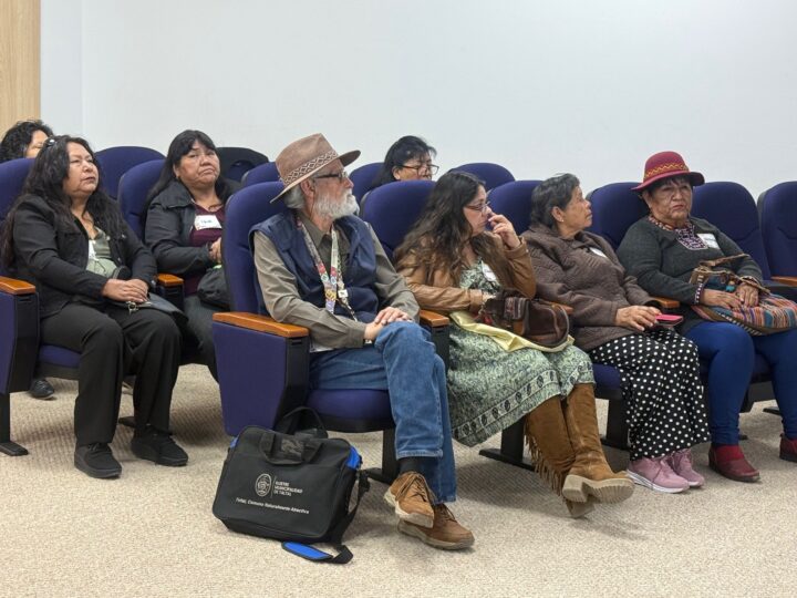 Ministerio de las Culturas invita a reunión virtual con sector artesanal de Antofagasta