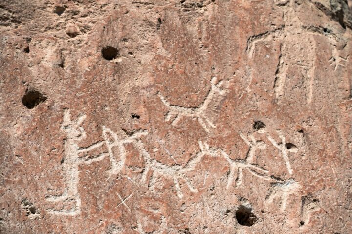 Lanzan foto libro inclusivo sobre arte rupestre de Arica