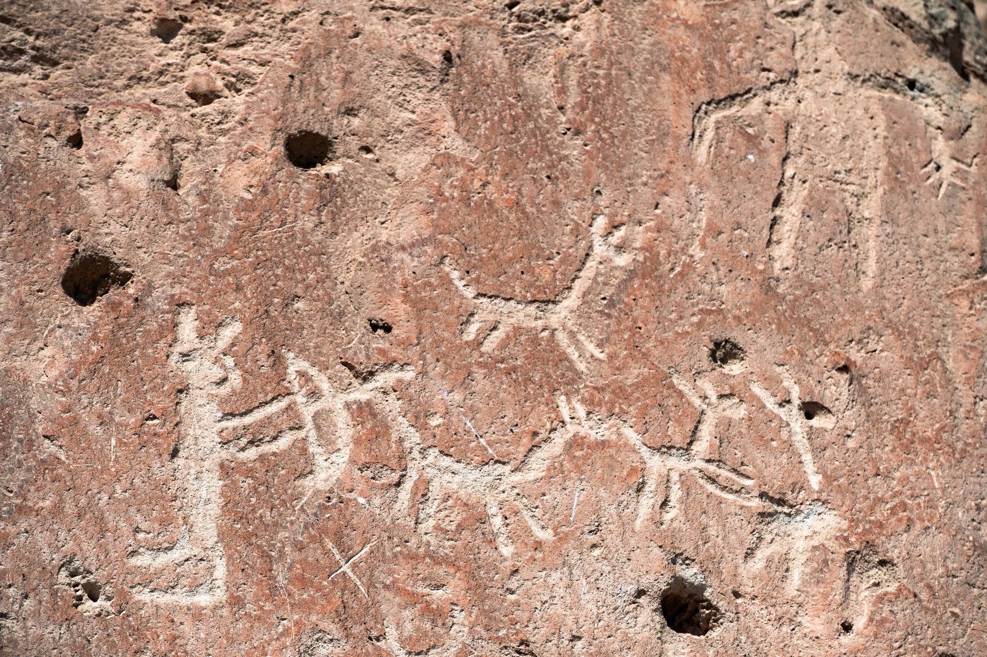 Lanzan foto libro inclusivo sobre arte rupestre de Arica
