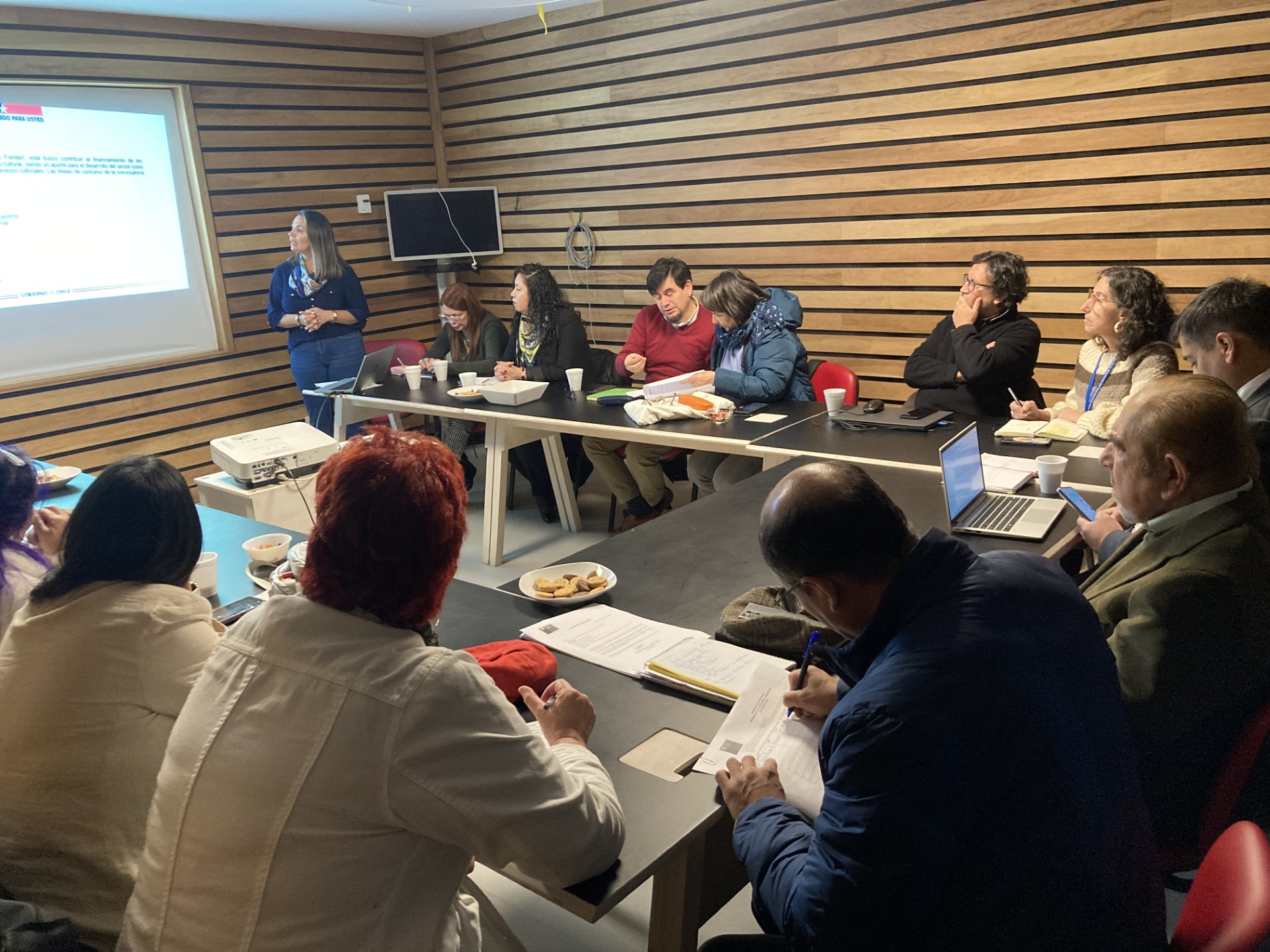 Consejo Regional de las Culturas de Los Ríos abordó formas de descentralizar la postulación y adjudicación del Fondart