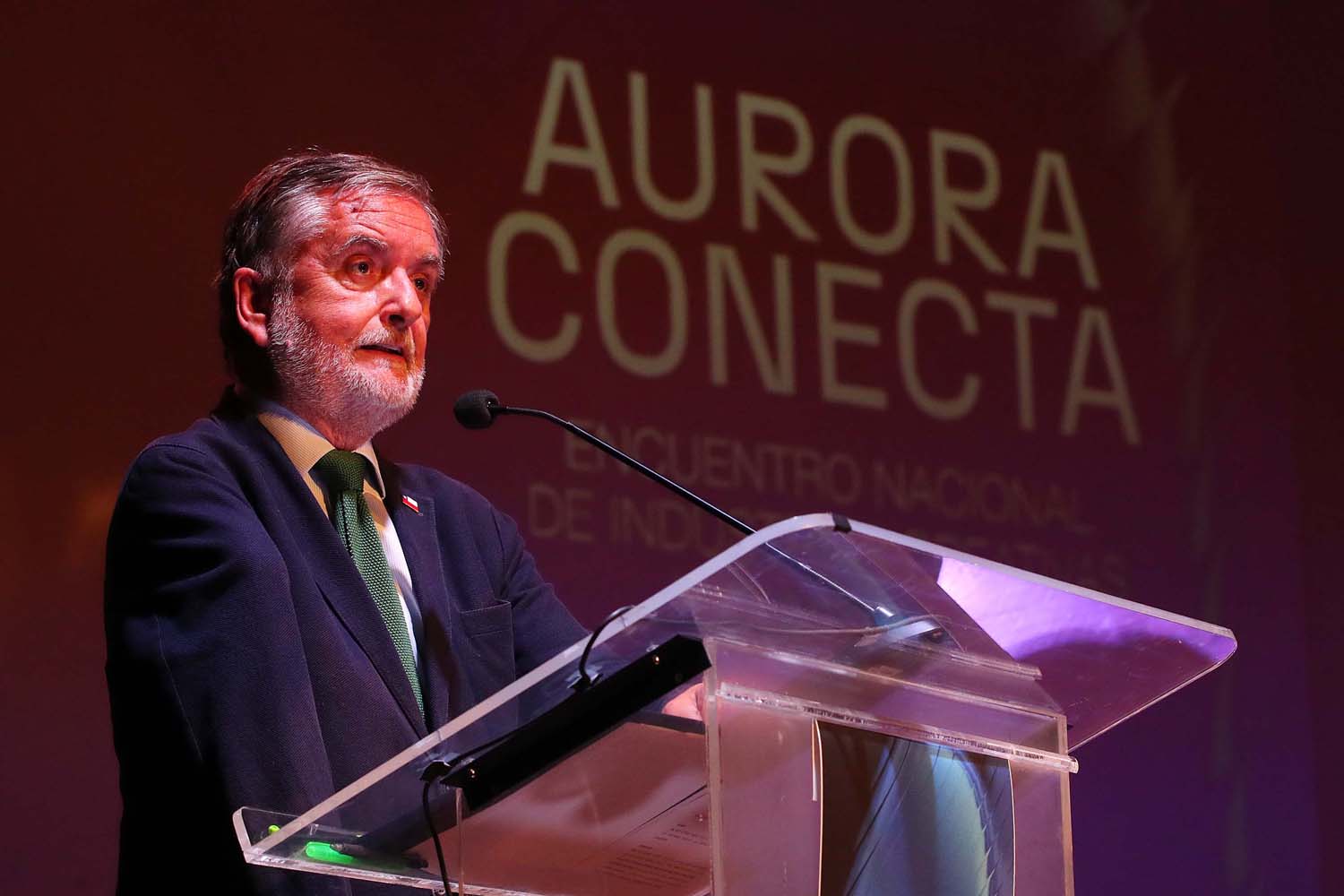Ministerio de las Culturas y USACH realizan el primer Encuentro de Industrias Creativas Culturales al alero del programa Aurora