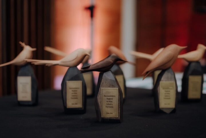 Convocatoria 2026 de Premios Regionales de Arte, Cultura y Patrimonio de la Región de Ñuble