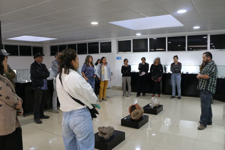 Proyecto Habitando el Mineral en el Museo Mineralógico de Copiapó