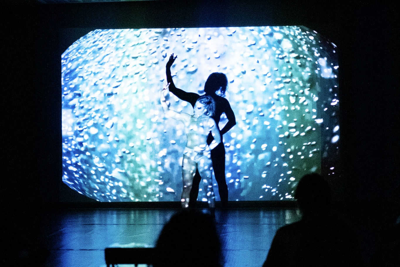 Convocatoria abierta para la segunda edición de RARA: Festival de Danza Contemporánea en Pucón