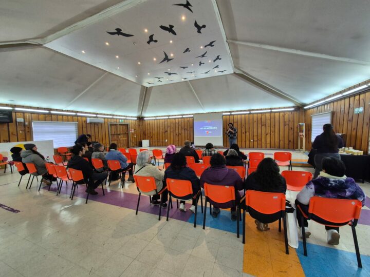 Seremi de las Culturas Los Lagos realiza despliegue regional en Jornadas de Asistencia Técnica