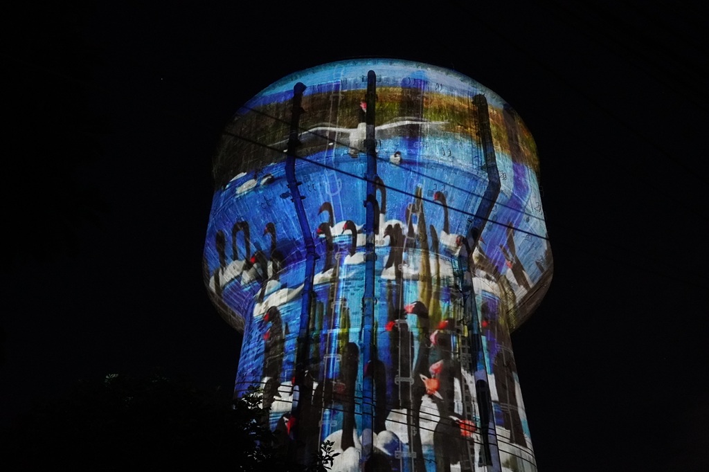 «Los Ríos Territorio Visual» anuncia su septenio con enfoque curatorial en la memoria de las aguas 
