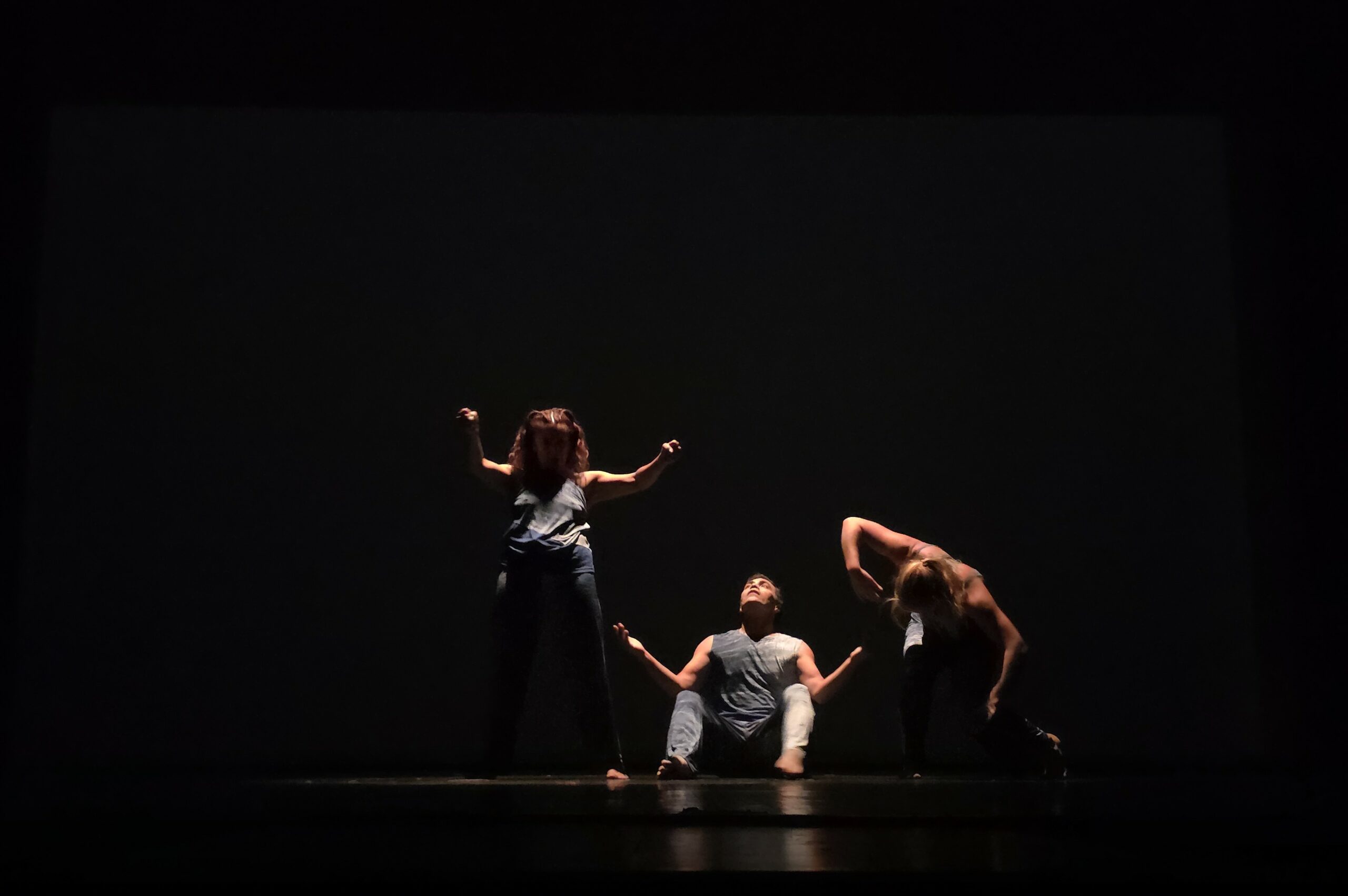 Variada programación trae II Bienal de Danza Moderna y Contemporánea