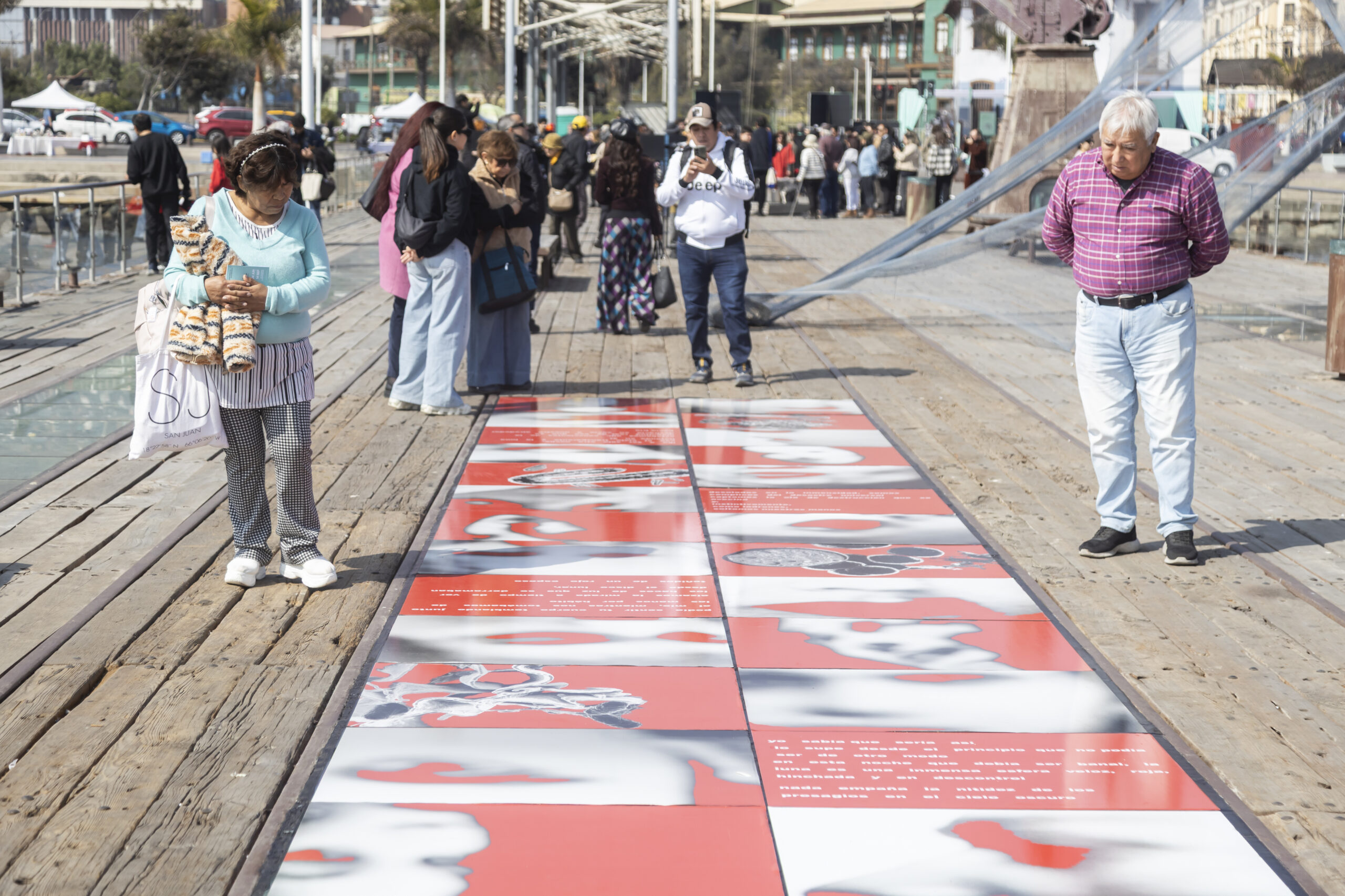 Abiertas postulaciones para Bienal SACO1.3: El Trópico de la Llama
