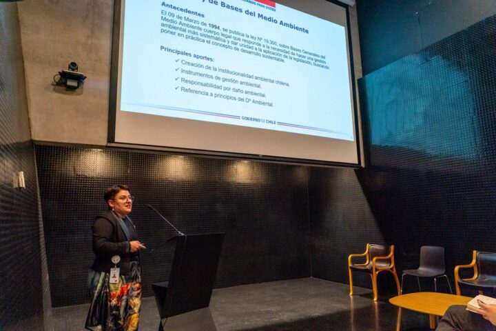 Subsecretaría del Patrimonio Cultural y Servicio de Evaluación Ambiental avanzan en fortalecer la evaluación ambiental de proyectos