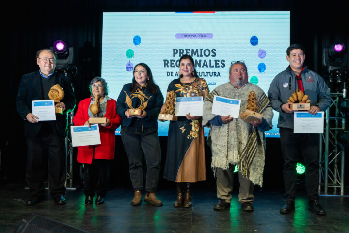 Tres novedades que marcan los Premios Regionales de Arte y Cultura 2026 en Los Lagos