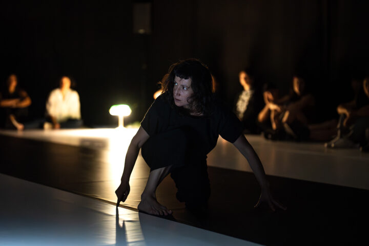 Ministerio de las Culturas conmemora el Día Nacional de la Danza